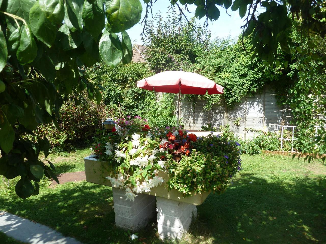 Bed & Breakfast Hillside Self Catering